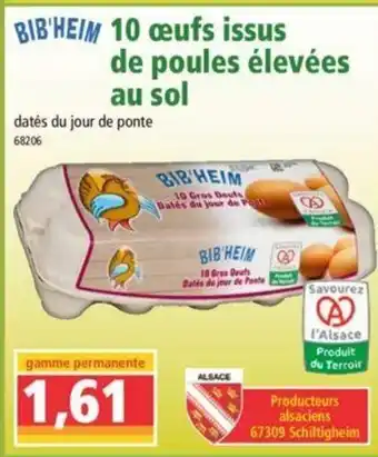 Norma 10 œufs issus de poulet élevées au sol offre