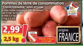 Norma Pommes de terre de consomation offre