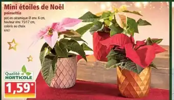 Mini étoiles de Noel