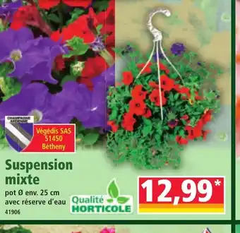 Norma Suspension mixte offre