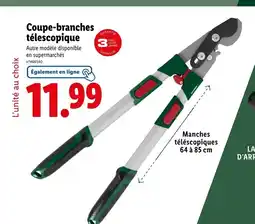 Coupe-branches télescopique