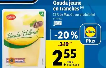 Lidl Gouda Jeune En Tranches offre