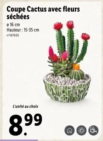 Lidl Coupe Cactus Avec Fleurs Séchées offre