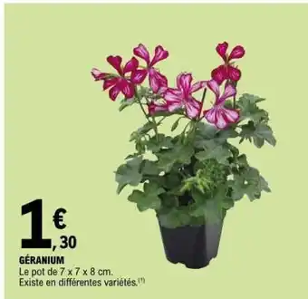 E.Leclerc Géranium offre