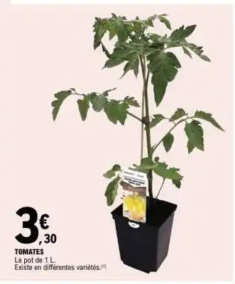 E.Leclerc Tomates offre