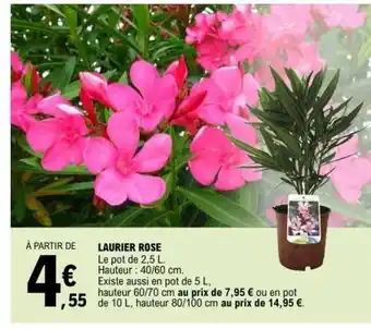 E.Leclerc Laurier rose offre