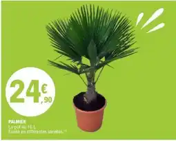E.Leclerc Palmier offre