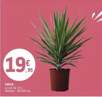 E.Leclerc YUCCA offre