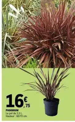 E.Leclerc PHORMIUM offre