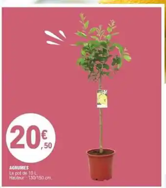 E.Leclerc Agrumes offre