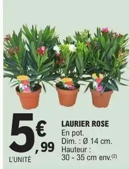E.Leclerc Laurier rose offre