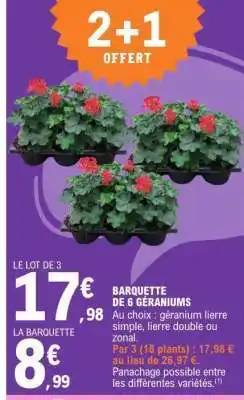 E.Leclerc BARQUETTE DE 6 GÉRANIUMS offre
