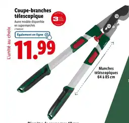 Lidl Parkside Coupe-branches télescopique offre