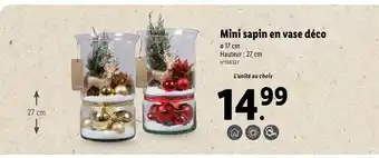 Lidl Mini sapin en vase déco offre
