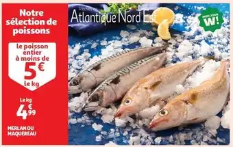 Auchan Merlan ou Maquereau offre