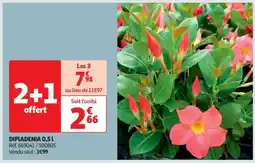 Auchan DIPLADENIA 0,5L offre