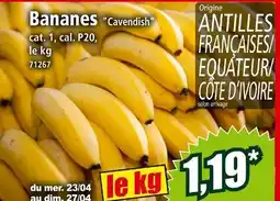 Cavendish Bananes