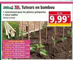 Norma GARDEN POWER XL Tuteurs en bambou offre