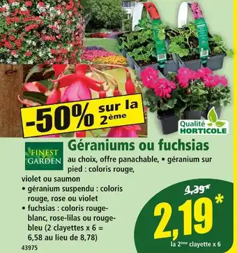 Norma FINEST GARDEN Géraniums ou fuchsias offre