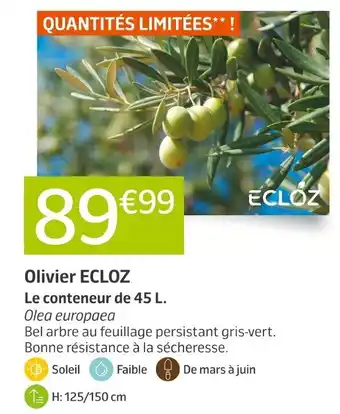 Jardiland ECLOZ Olivier ECLOZ offre