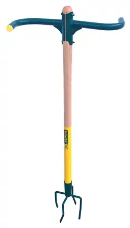 Jardiland Rotogrif NaturOvert 4 dents Leborgne offre