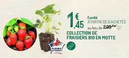 Botanic Collection de fraisiers bio en motte offre