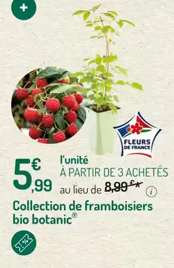 Botanic Collection de framboisiers bio botanic offre