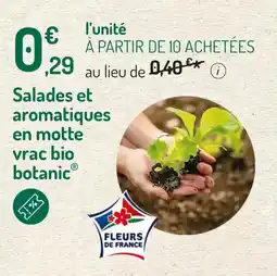 Botanic Salades et aromatiques en motte vrac bio botanic offre