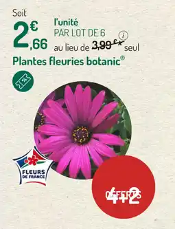 Botanic Plantes fleuries botanic offre