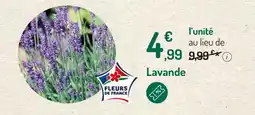 Botanic Lavande offre