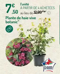 Plante de haie vive botanic