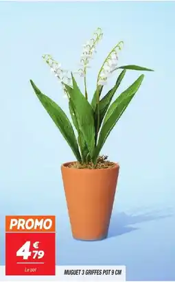 Netto Muguet 3 griffes pot offre
