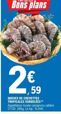 E.Leclerc Queues de crevettes tropicales surgelées offre