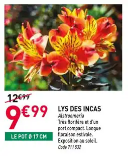 RAGT Jardin & Maison Lys des incas offre
