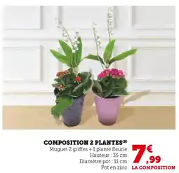 Super U Composition 2 plantes offre
