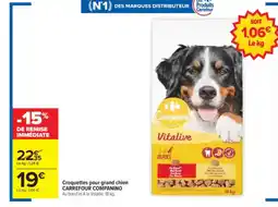 Carrefour Market CARREFOUR COMPANINO Croquettes pour grand chien offre