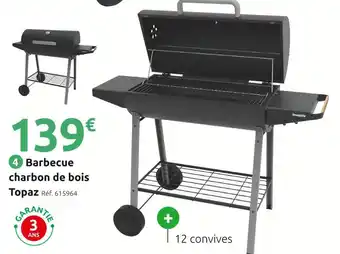 Mr Bricolage Inventiv Barbecue charbon de bois Topaz offre