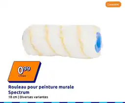 Action Rouleau pour peinture murale spectrum offre