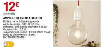 Brico Dépôt Ampoule filament led globe offre