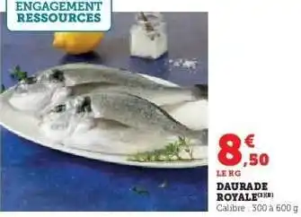 Hyper U Daurade royale offre