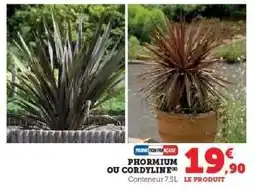 Super U Phormium ou Cordyline offre