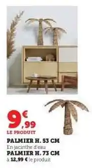Super U Palmier H. 53 cm offre