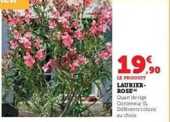 Super U Laurier rose offre