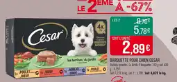 Match CESAR Barquette pour chien offre