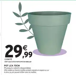 Intermarché Pot Lea 70cm offre