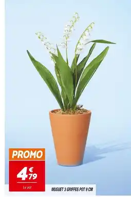 Netto Muguet 3 griffes pot 9 cm offre