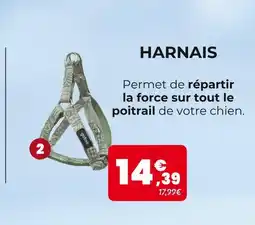 Animalis Harnais offre