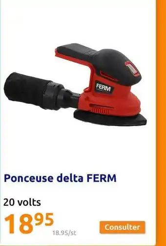Action Ponceuse Delta Ferm offre