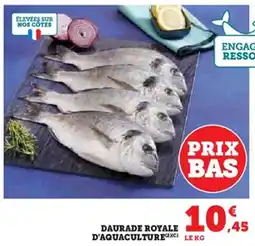 Hyper U Daurade royale d'aquaculture offre