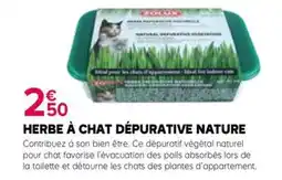 Kiriel Herbe à chat dépurative nature offre
